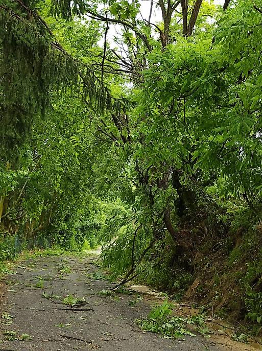 I danni del maltempo sull'Astigiano