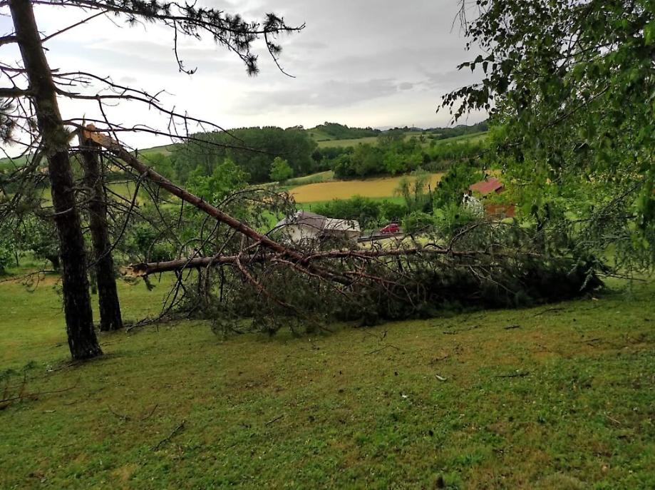 I danni del maltempo sull'Astigiano