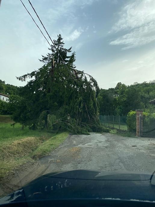 I danni del maltempo sull'Astigiano