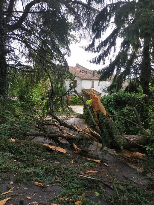 I danni del maltempo sull'Astigiano