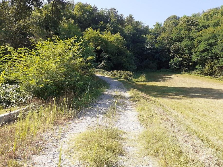 strada crosa a casabianca4