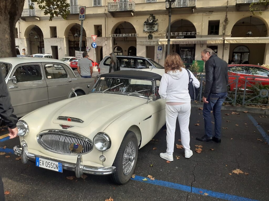 243108431_396084501900941_2901809902698085297_n