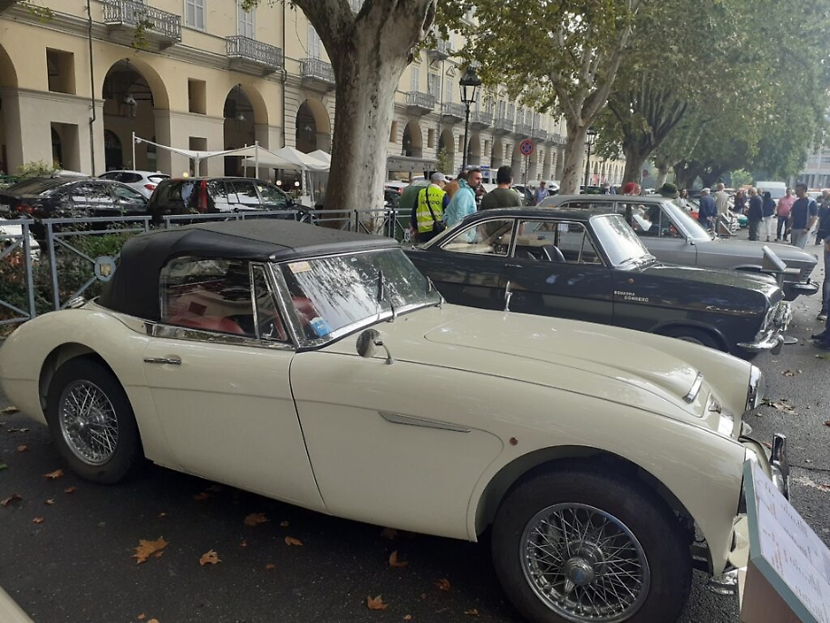 243371331_396084675234257_5412701717816295744_n