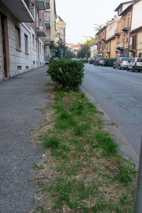 Viale Partigiani ad Asti