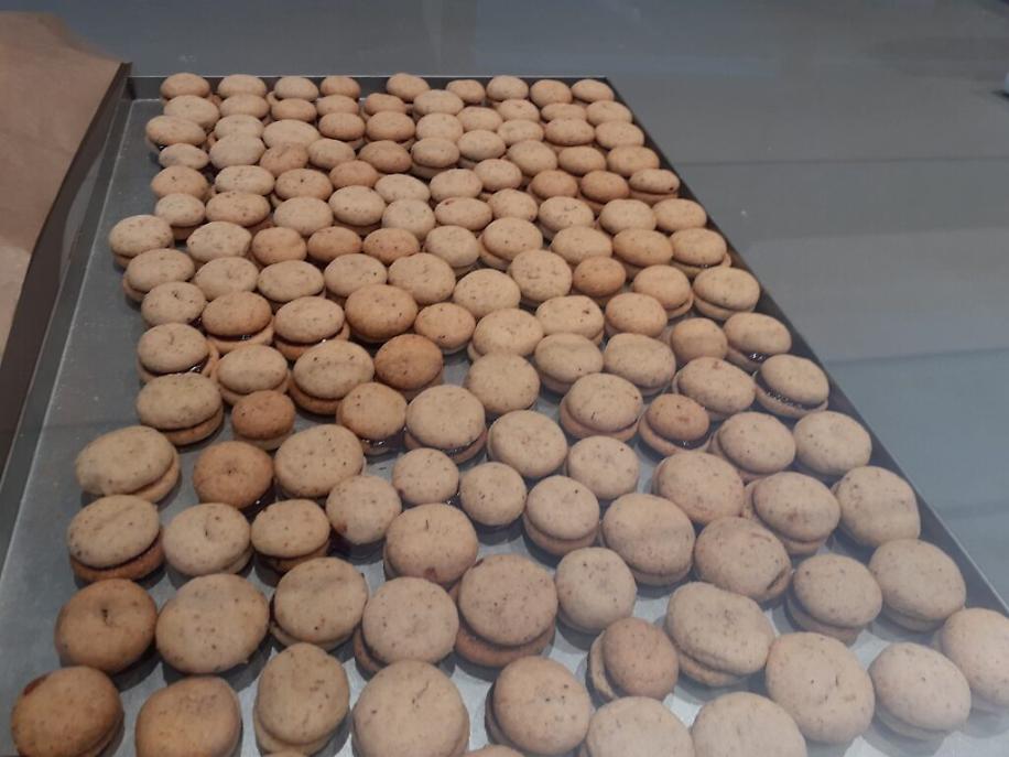 259213494_430142461828478_7227356136181294086_n