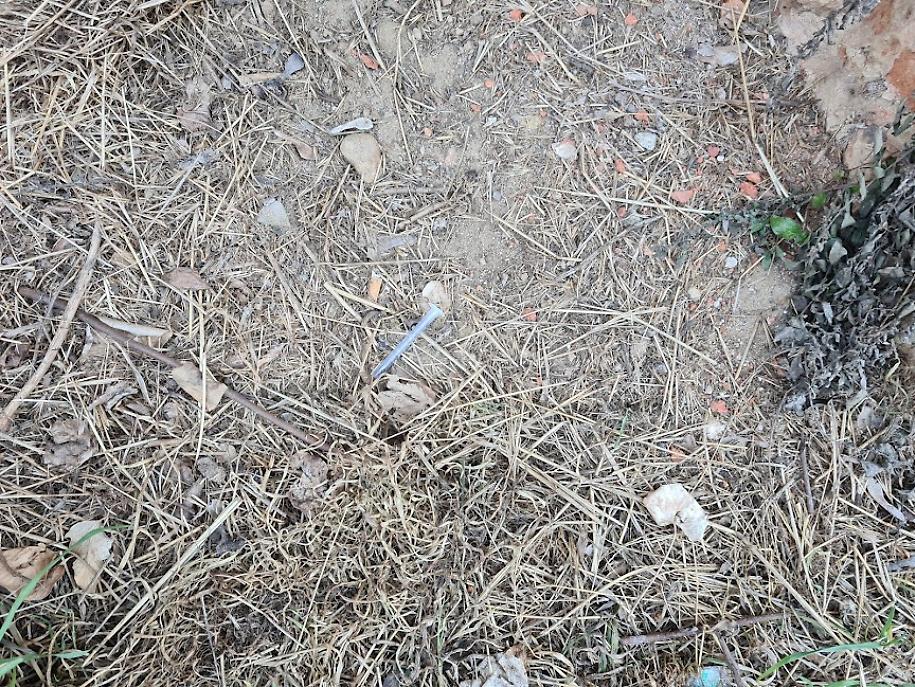 Siringhe alle Antiche Mura1