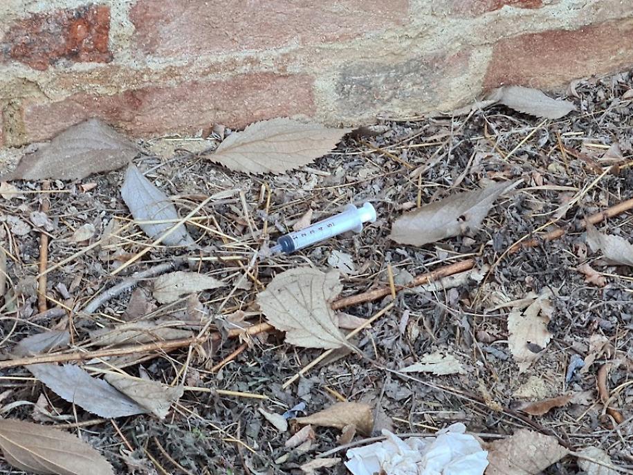 Siringhe alle Antiche Mura2