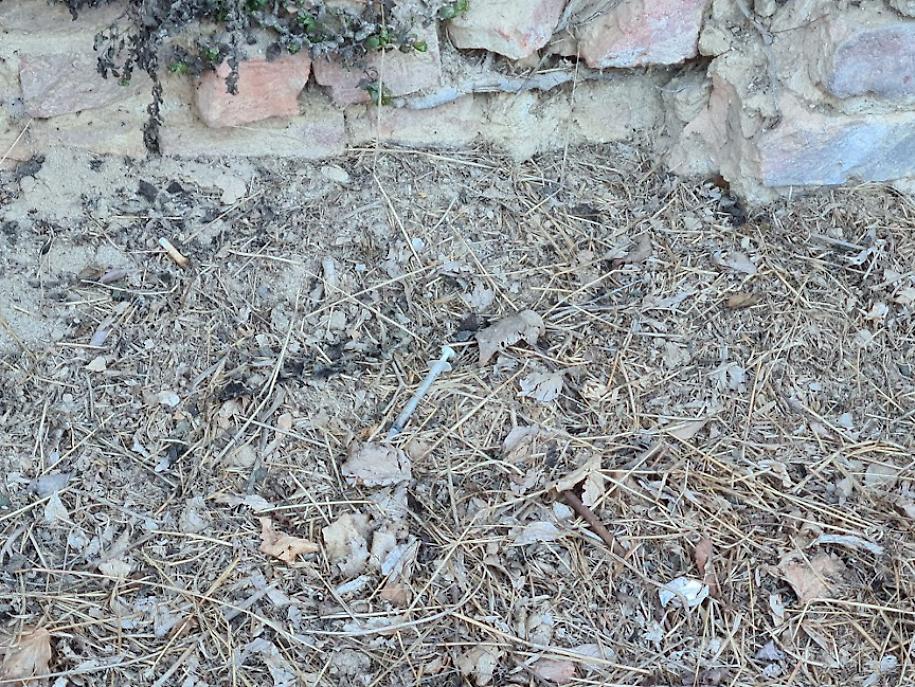 Siringhe alle Antiche Mura3