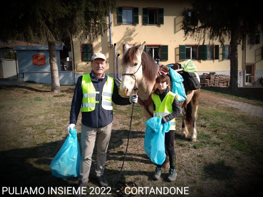 Cortandone