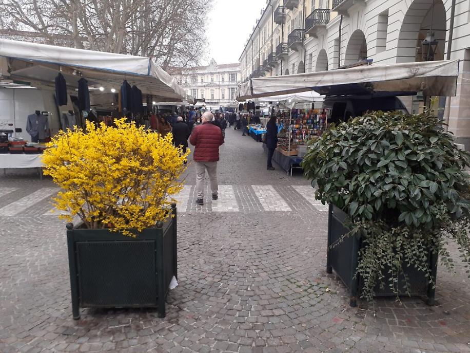 Mercato piazza Alfieri 11