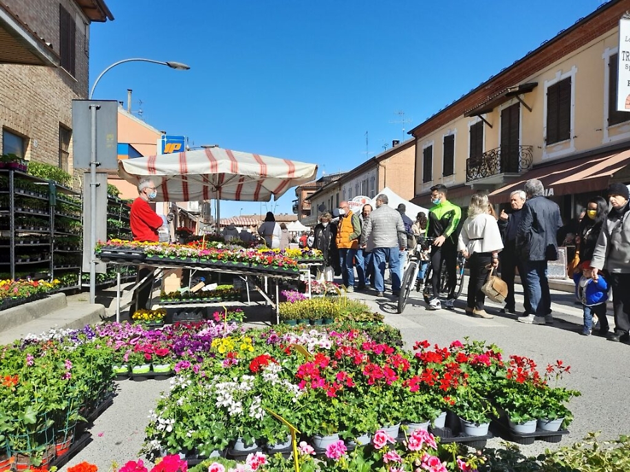 motta ortogiardinovino fiori 2022