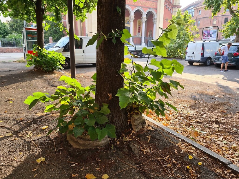 Degrado al Santuario Madonna del Portone