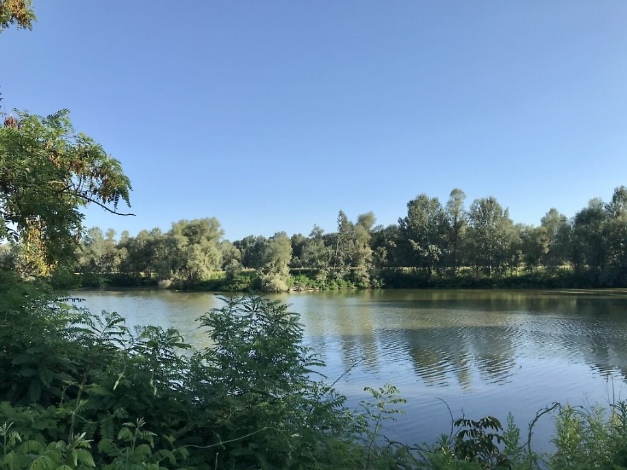 IMG_0773 stagno grande Belangero