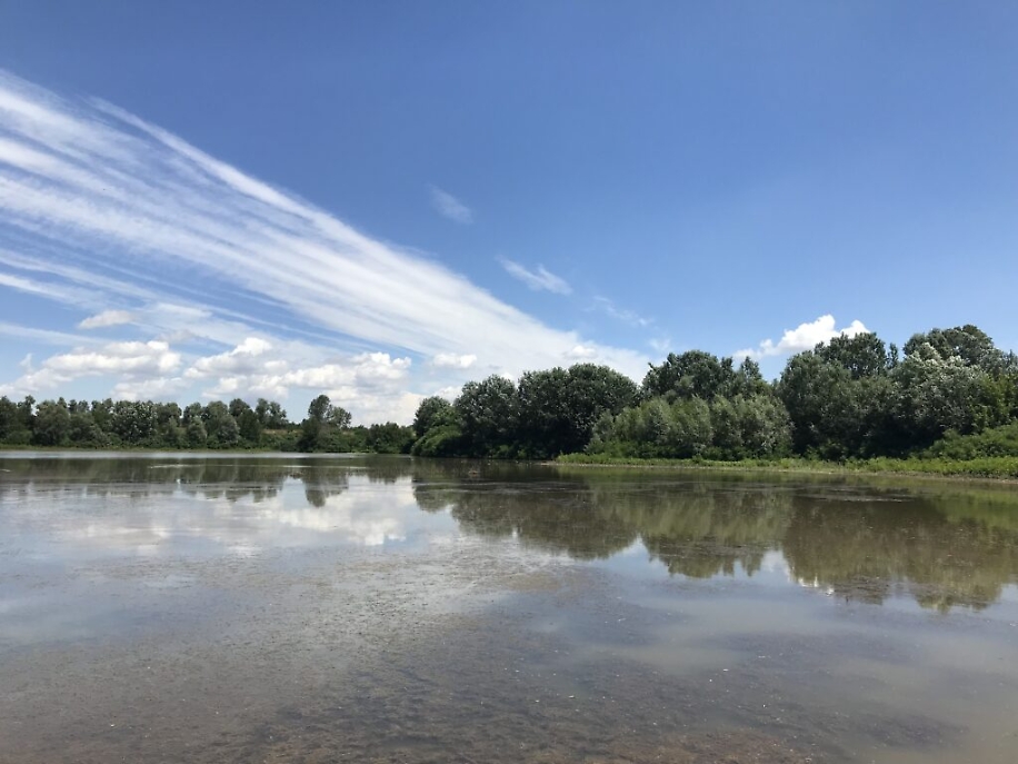 IMG_2690 Stagno cascina Sardegna