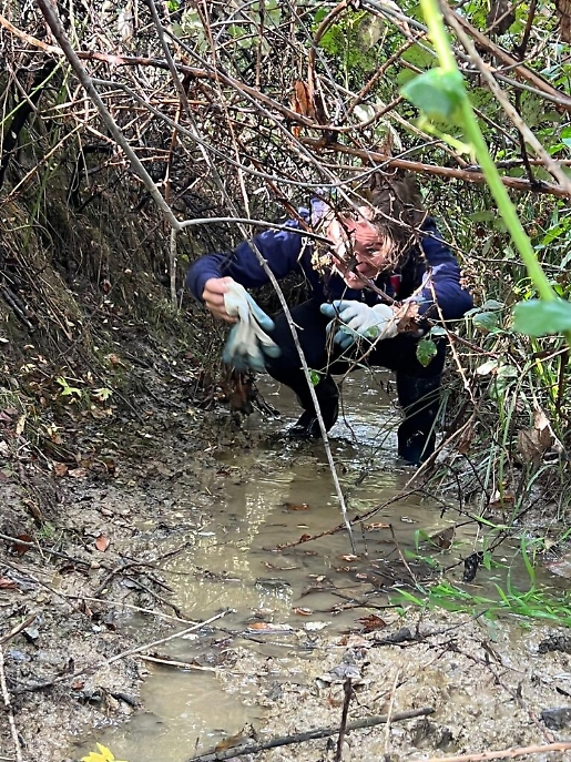 emanuel marino ricerche penelope 2022 b