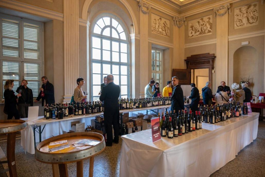 315542864_3073218179653268_3411920164205874898_n