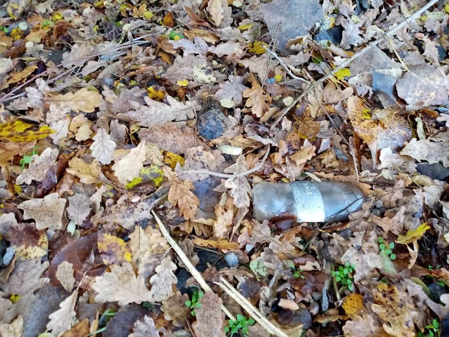 immondizia a Viatosto1