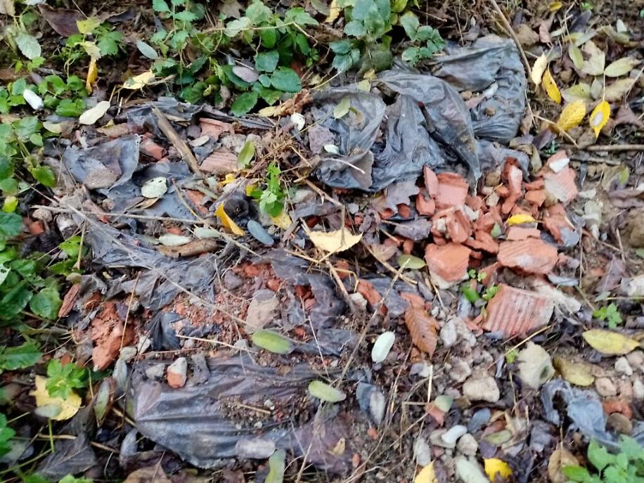 immondizia a Viatosto10