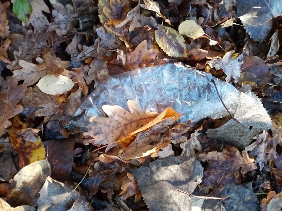 immondizia a Viatosto2