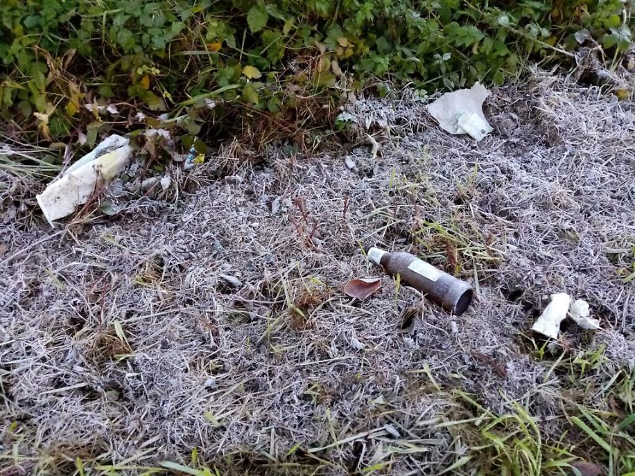 immondizia a Viatosto3