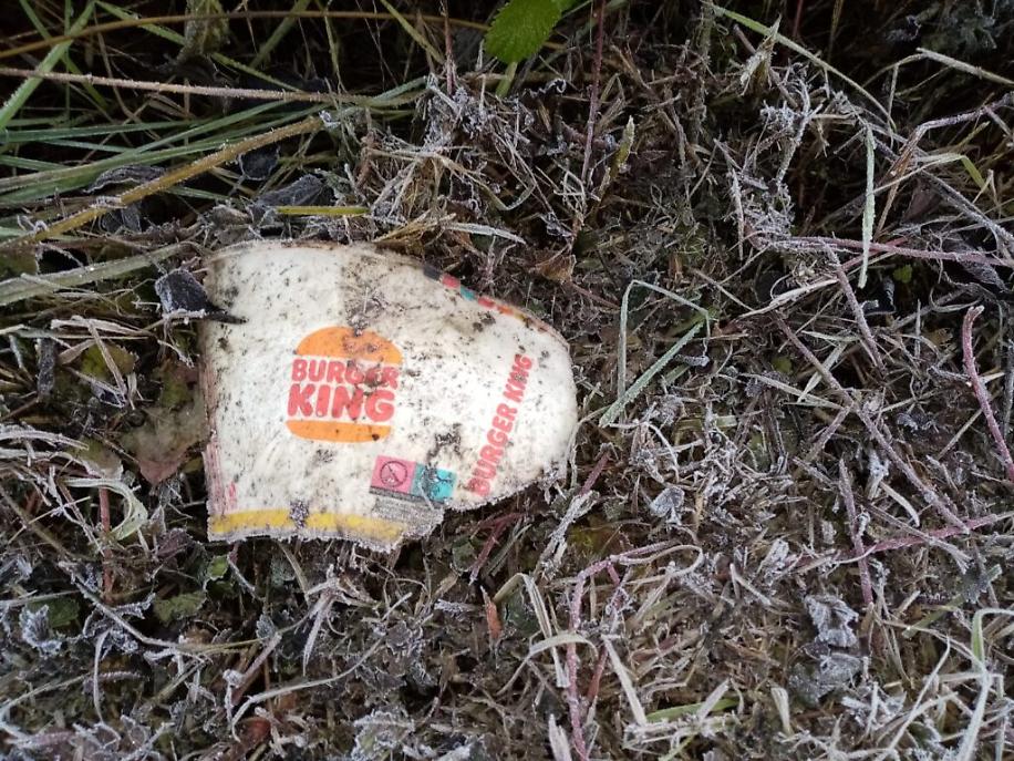 immondizia a Viatosto4