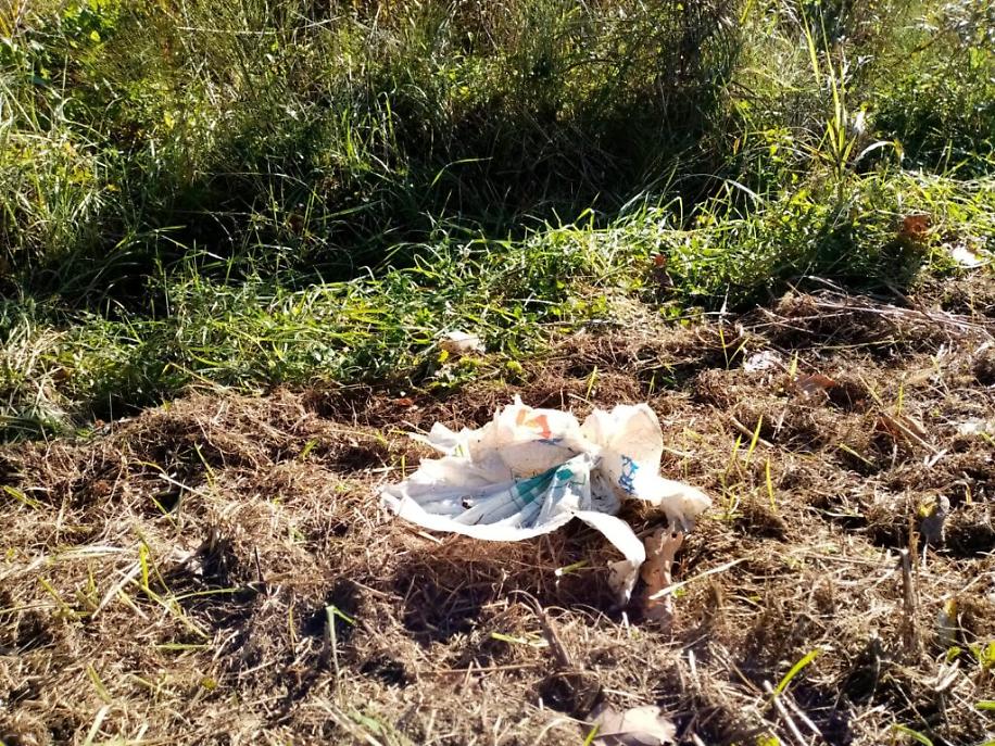 immondizia a Viatosto5