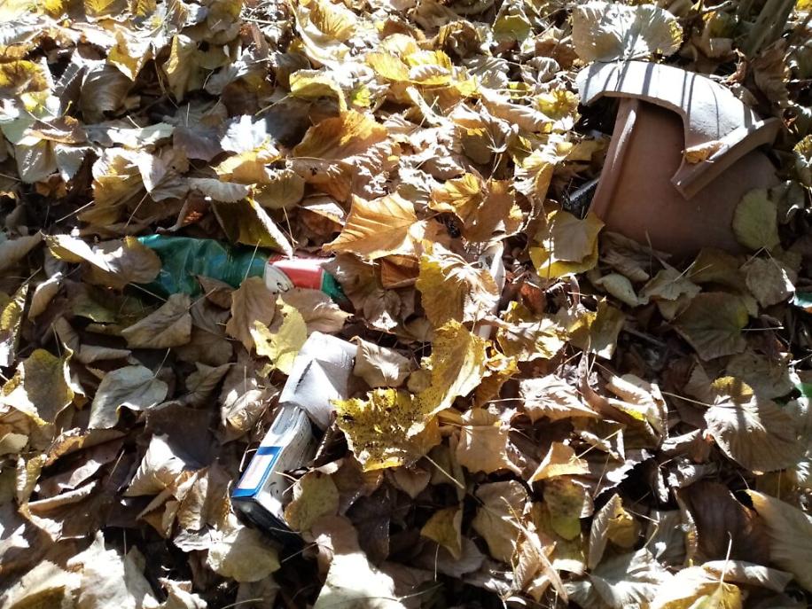 immondizia a Viatosto6