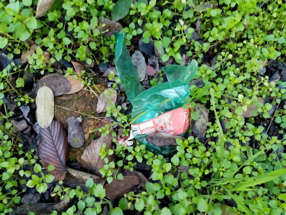 immondizia a Viatosto7