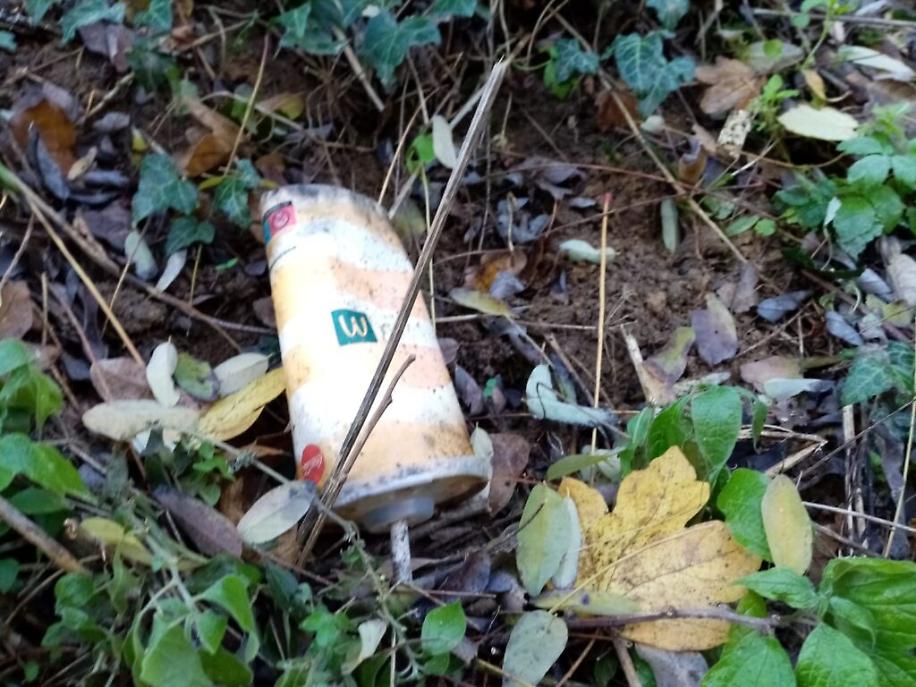 immondizia a Viatosto8