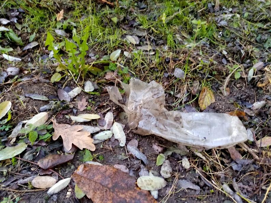 immondizia a Viatosto9