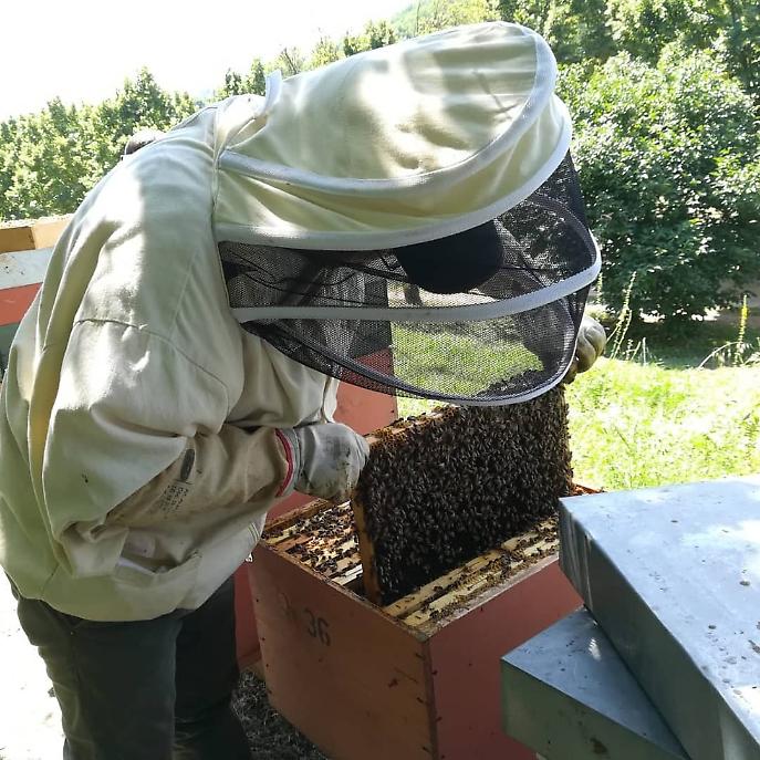 35925927_1792056154150449_5139790287995928576_n