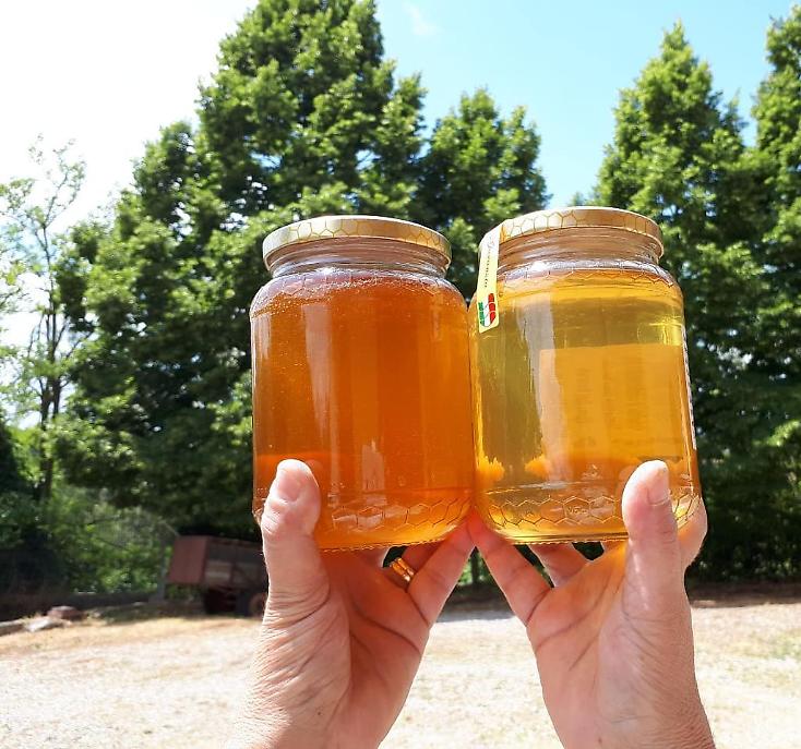 36641611_1810268995662498_8545835688870805504_n