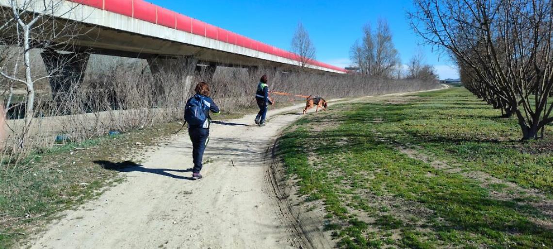 protezione civile isola esercitazione