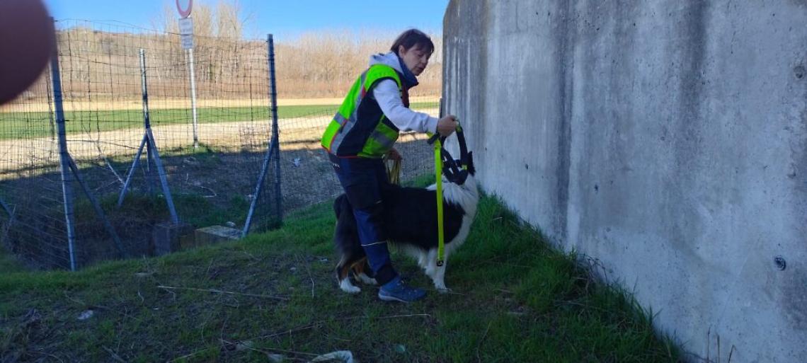 WhatsApp Image 2023-03-11 at 13.55.02