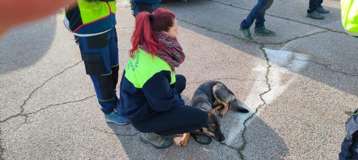 WhatsApp Image 2023-03-11 at 13.55.04