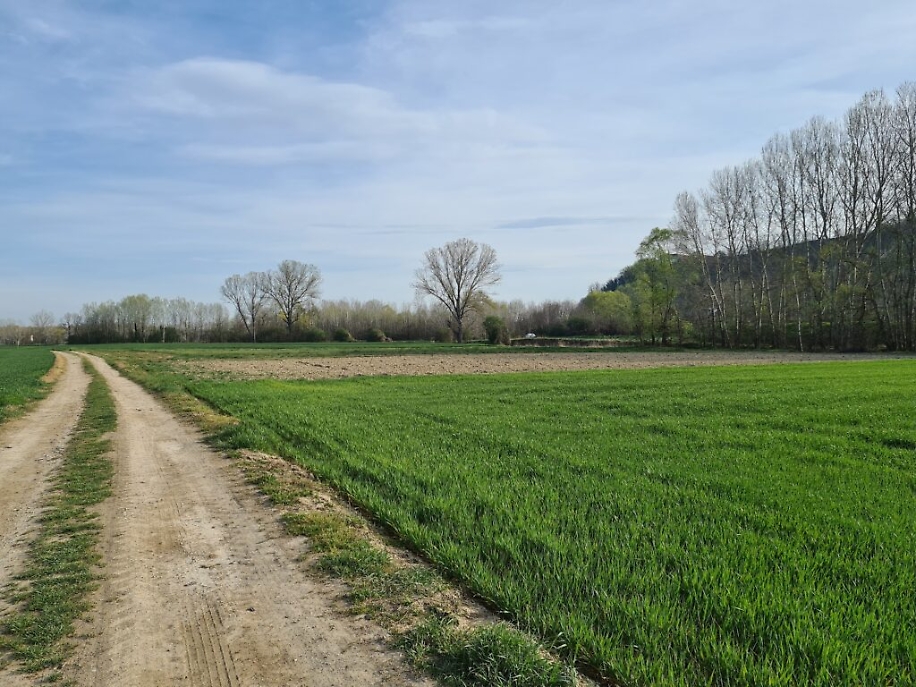 Tracciato giallo, Rocca Schiavino dove la tso si collegher&agrave; all'asti cuneo