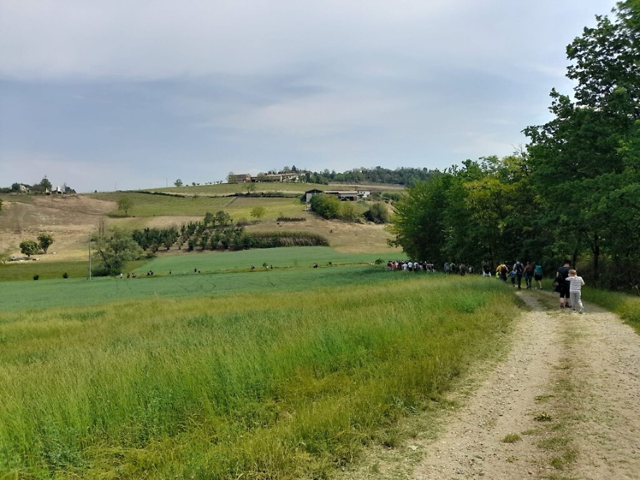 345228671_186247387244295_6862318151902288212_n