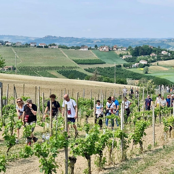 345287661_1200094240708787_8255442053926304733_n