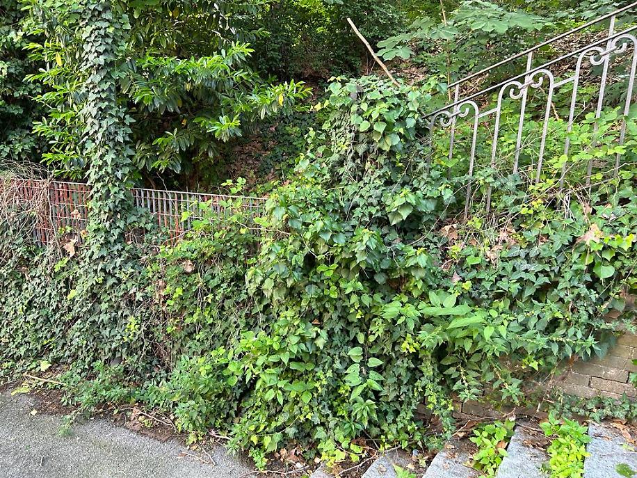 segnalazione via del bosco5