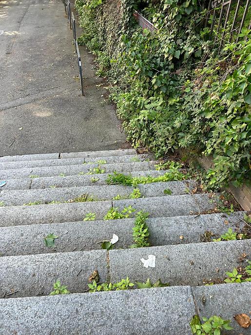 segnalazione via del bosco7