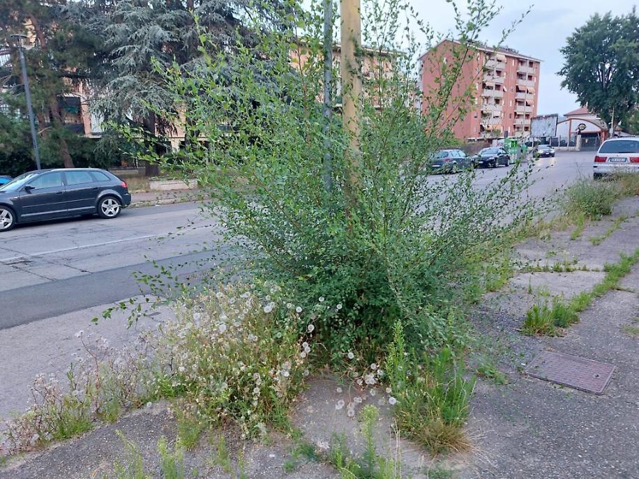 358466427_3233678606940557_5473258097388922833_n