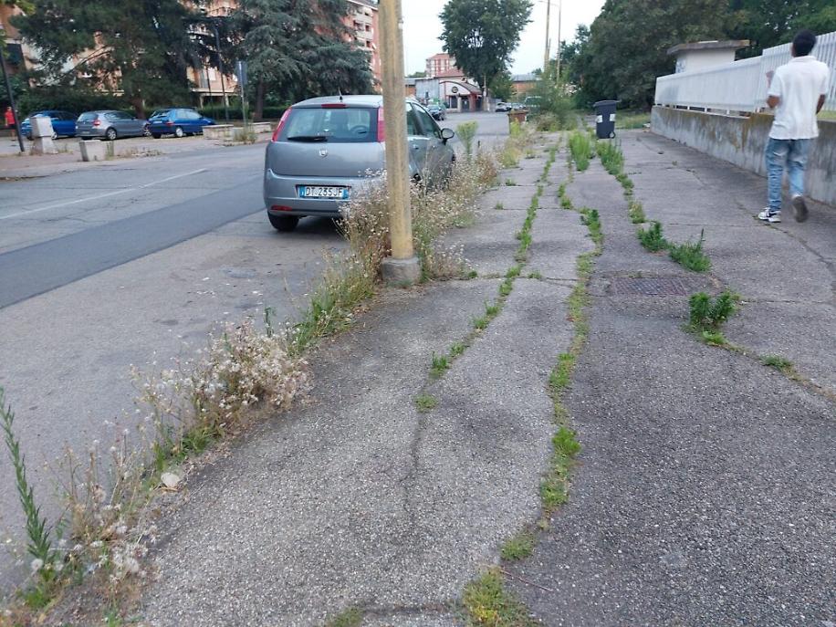 358474828_3233678450273906_1519584851023205461_n