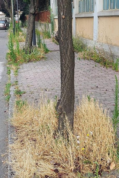 359711105_802046091304778_1661718782588105695_n