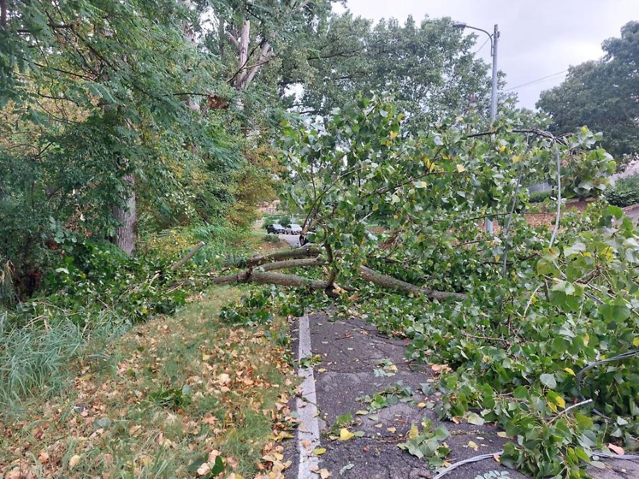 369269185_3260689267572824_409468759097528393_n