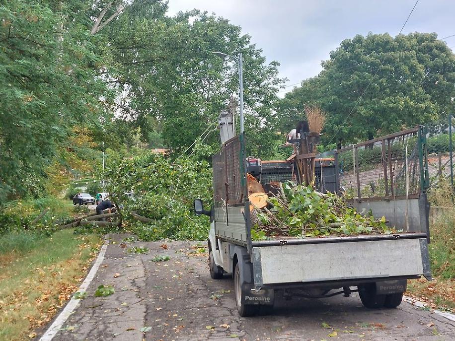 370255472_3260688990906185_4852059963919898129_n