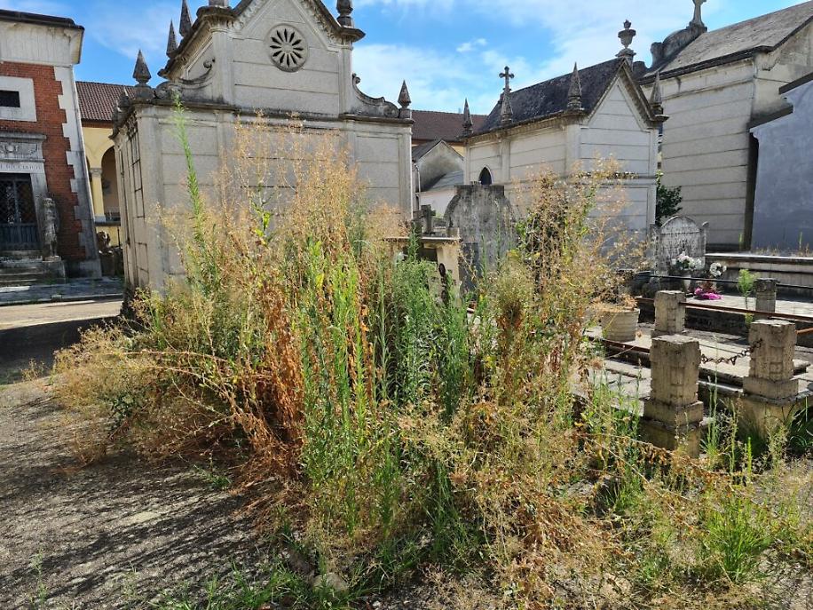 Cimitero di Asti Nuovo Scomparto 1 agosto 20231