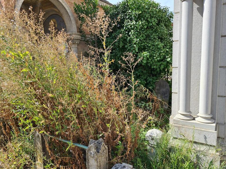 Cimitero di Asti Nuovo Scomparto 1 agosto 20233