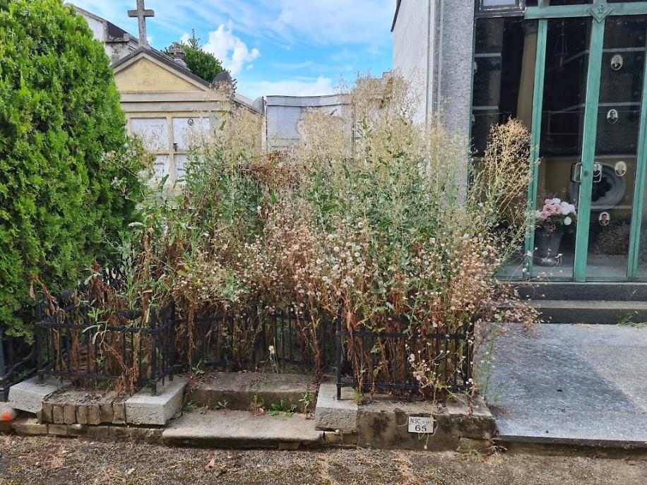 Cimitero di Asti Nuovo Scomparto 1 agosto 202332