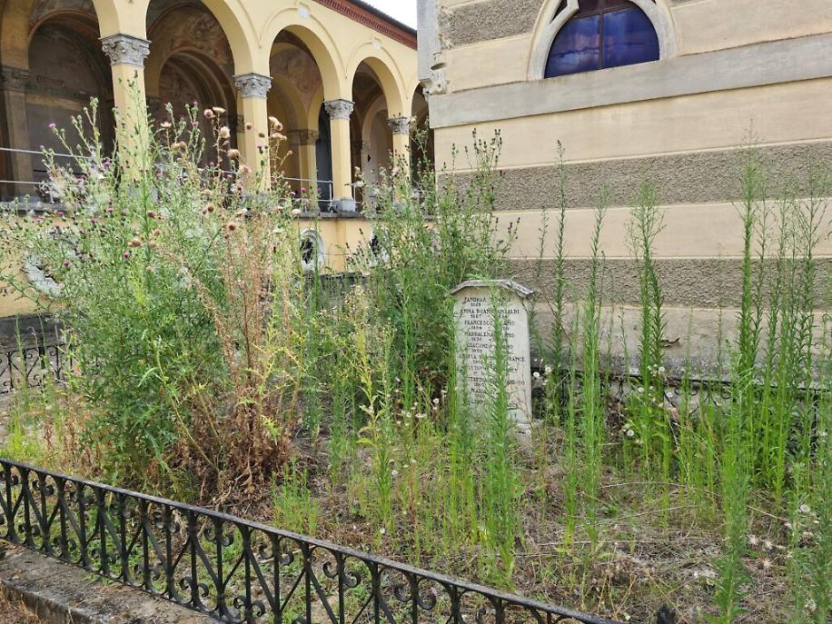 Cimitero di Asti Nuovo Scomparto 1 agosto 202336