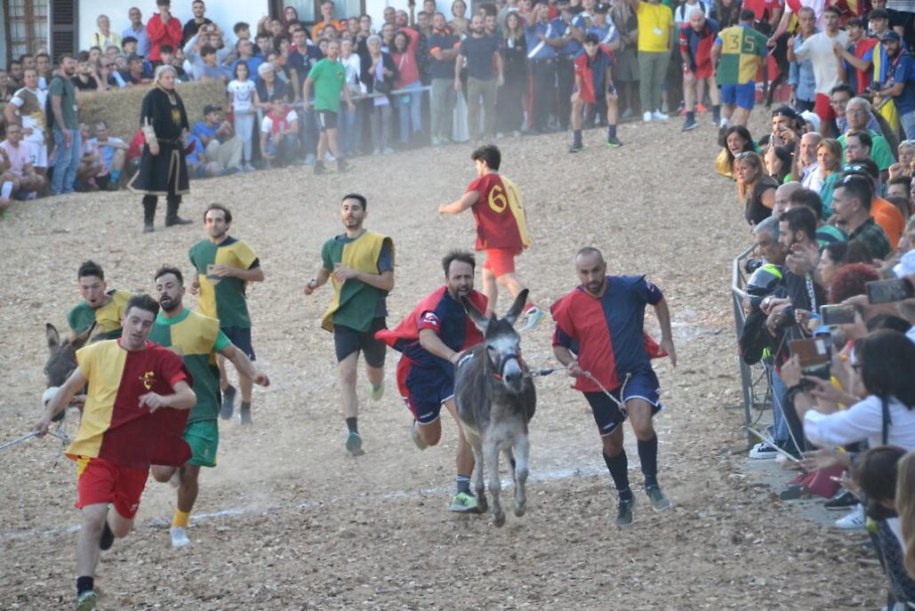 cocconato palio asini